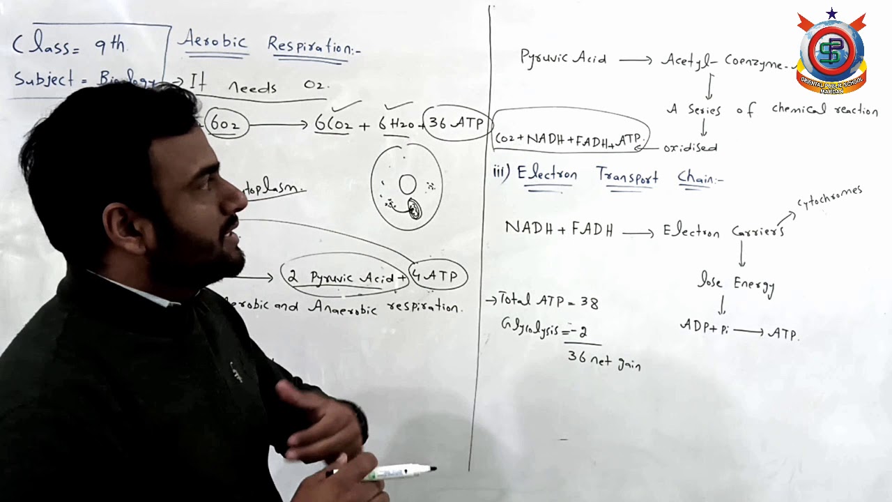 Class 9th Biology Lecture 29  Aerobic Respiration