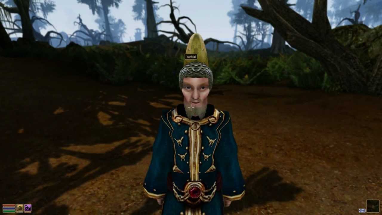 Morrowind - Saving Tarhiel from Broken Legs