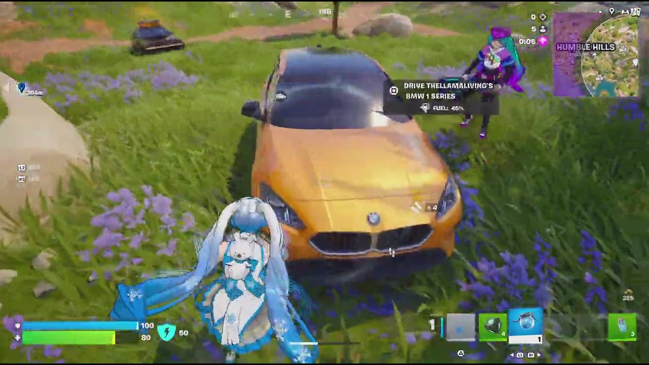 I was in Halfsilvers stream yay!
