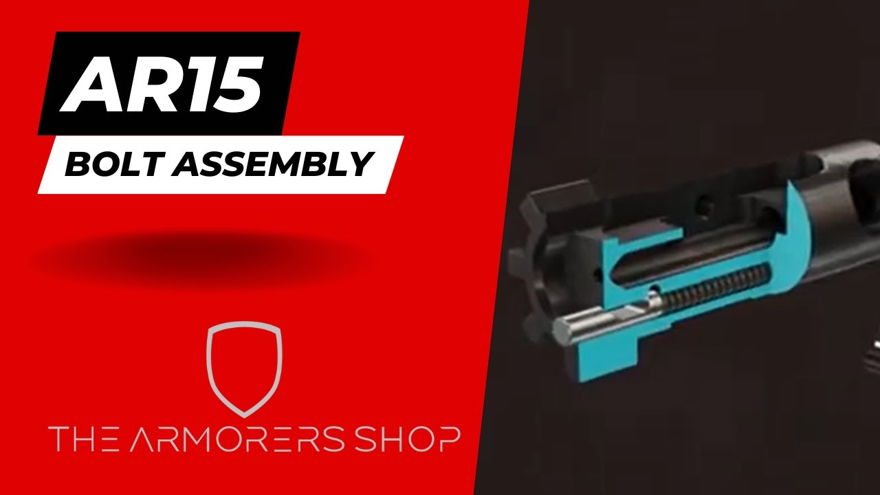 AR15 Bolt and Bolt Carrier Group assembly