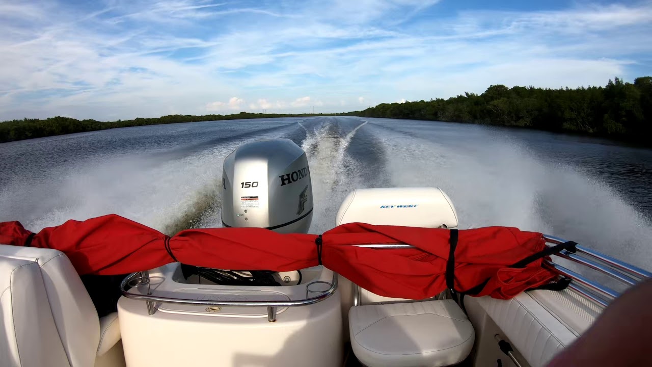 Peace River Trip, Punta Gorda FL