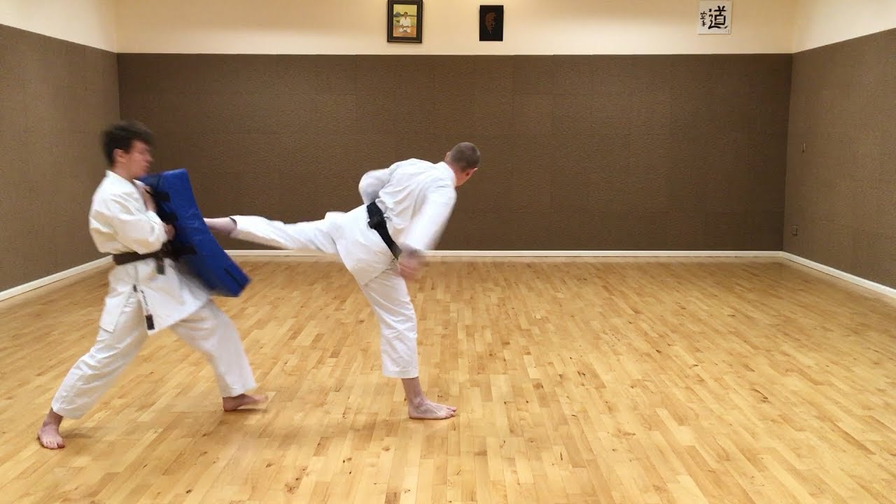Ushiro-geri (Back kick)