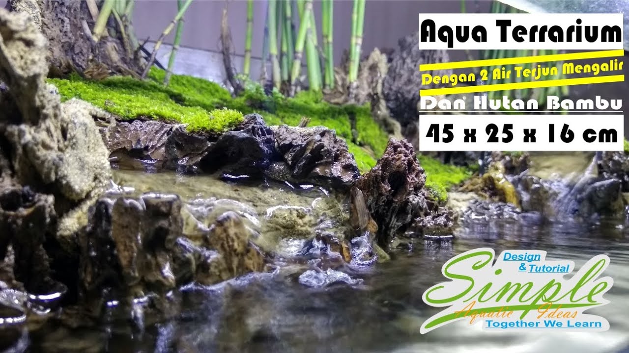 Membuat aqua terrarium sederhana dengan dua air terjun mengalir dan hutan bambu #8
