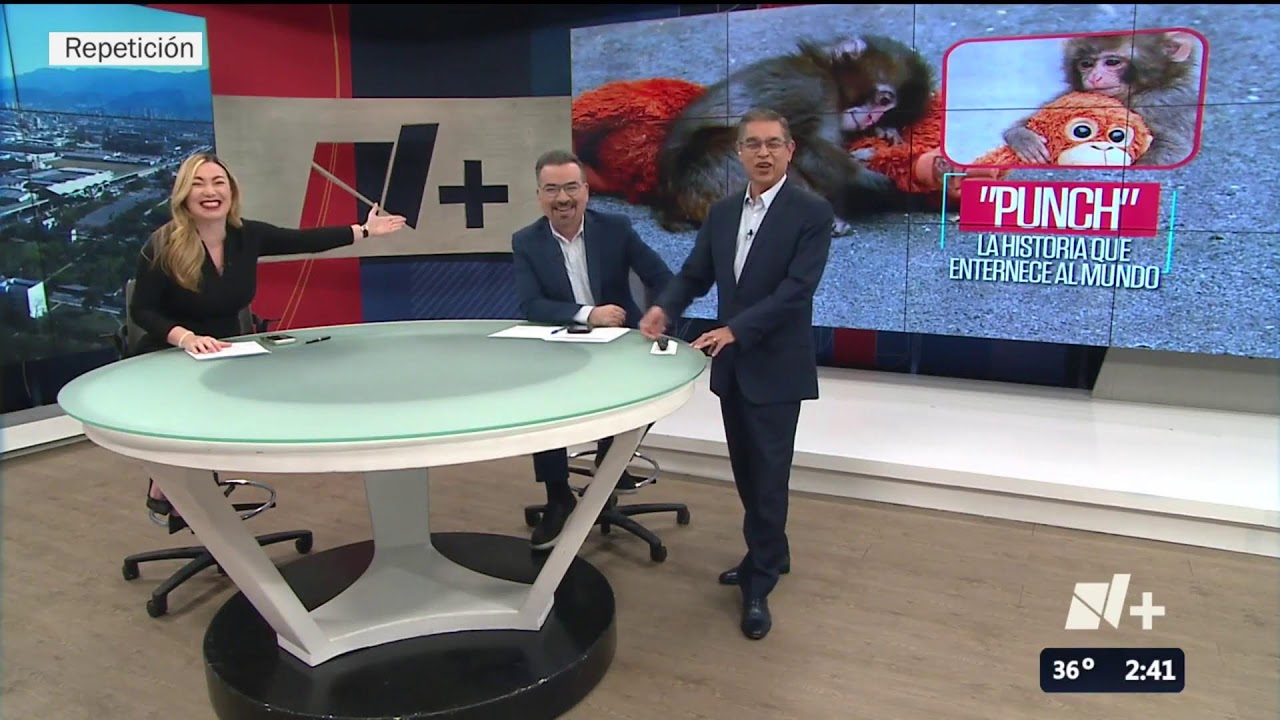 N+ Monterrey En Vivo
