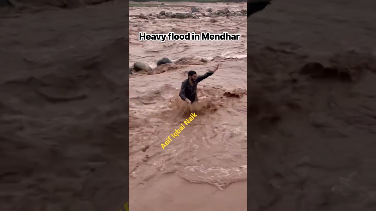 Members of Gujjar & Bakerwal community in Poonch risk their lives to save cows & buffaloes in flood