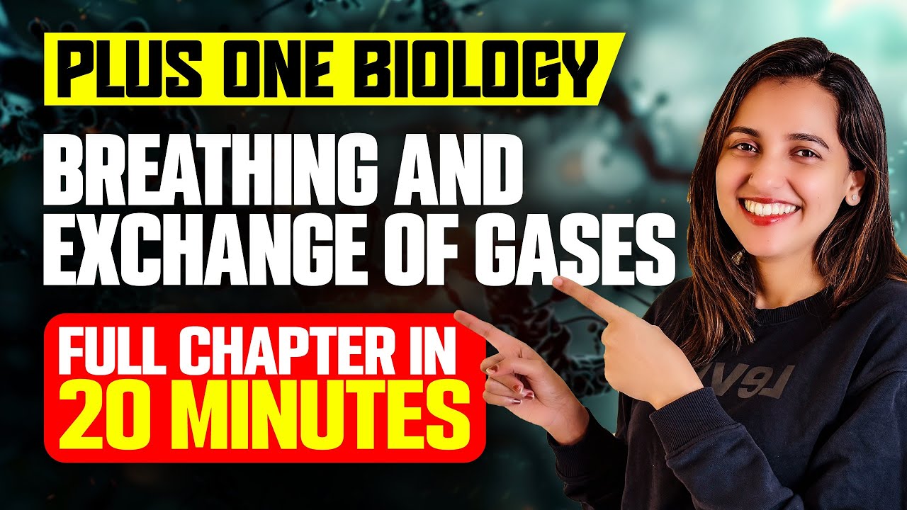 Plus One | Biology | Breathing And Exchange Of Gases | Full Chapter in 20 Minutes | Exam Winner