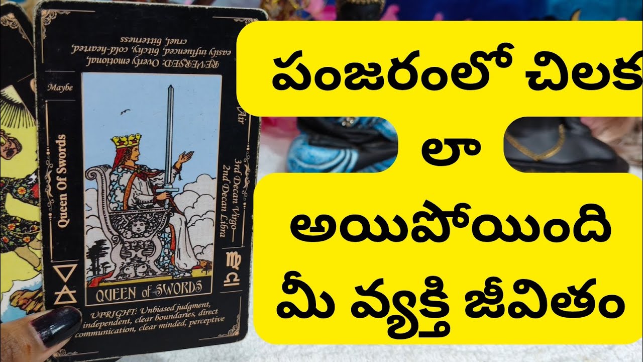 పంజరంలో చిలక లా అయిపోయింది మీ వ్యక్తి జీవితం 😳💯6300509679