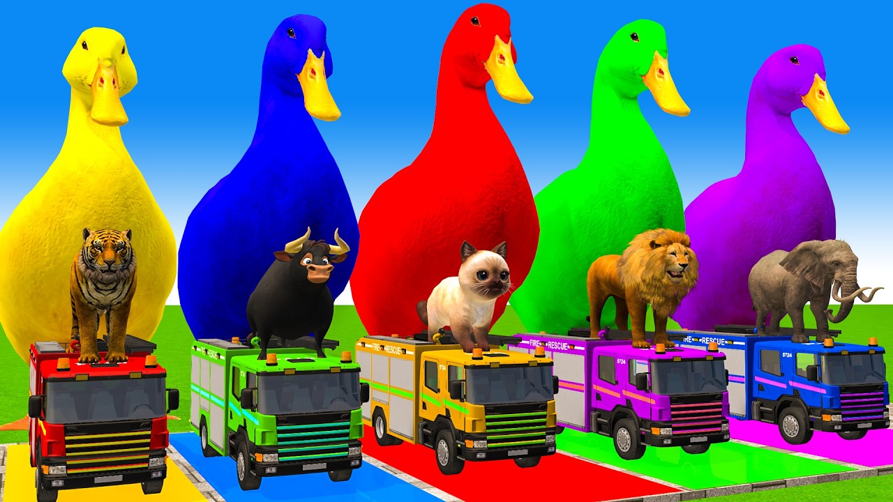 5 Giant Duck Cartoon,Cow,Elephant,Tiger,Lion,Dinosaur,Paint Wild Animals Crossing Fountain Animation