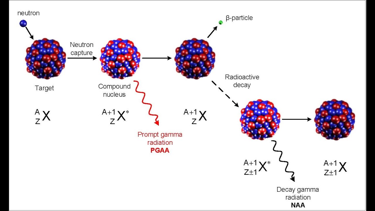 An Investigation of the Effects of Gamma Irradiationof Egg Cells on Macro and Micro Nutrients..