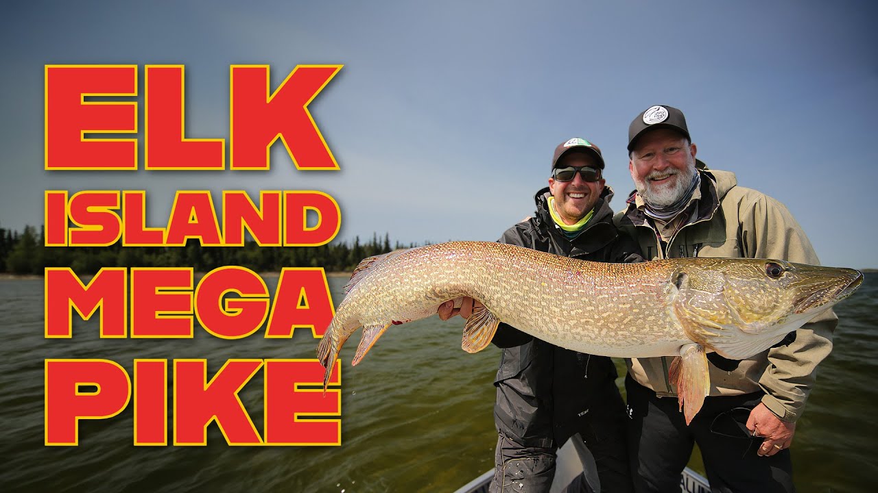 Mega Pike Alert