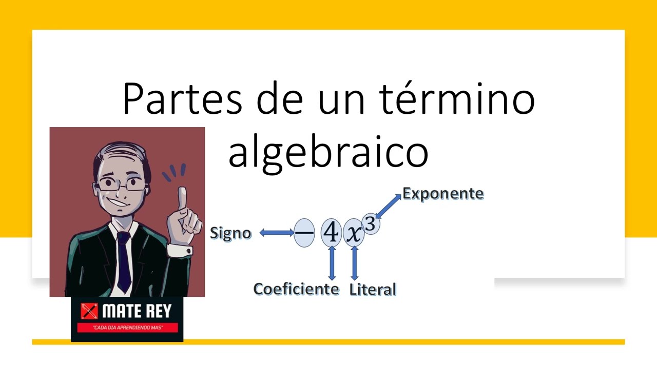 ¿Qué es un término algebraico?
