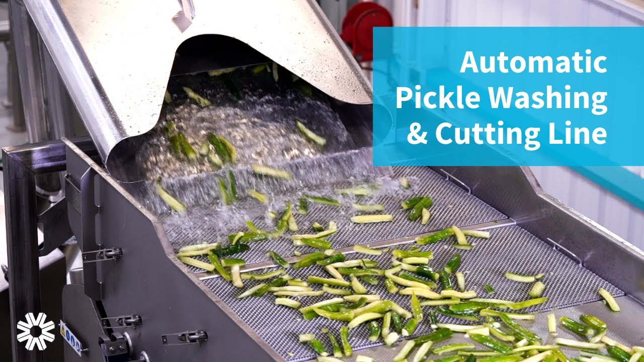 Vanmark Pickle Washing & Cutting Processing Line