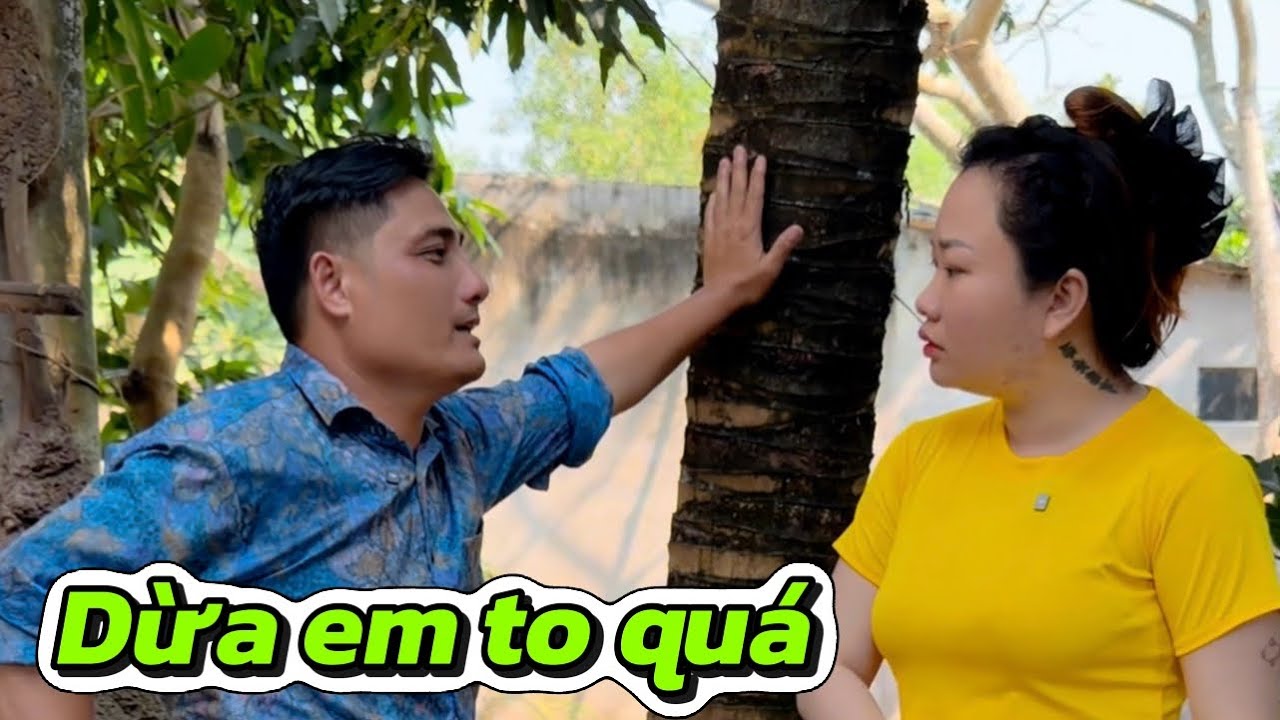 Dừa em bự chắc nhiều nước lắm 