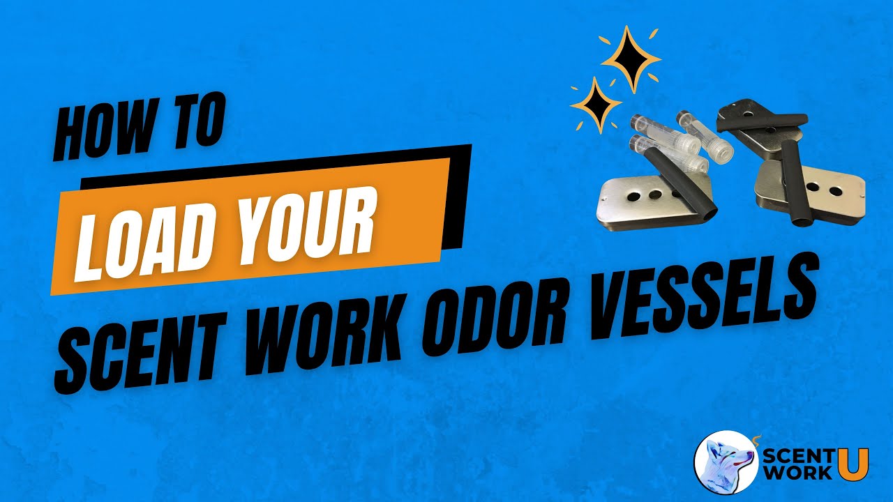 How to Load Your Scent Work Odor Vessels