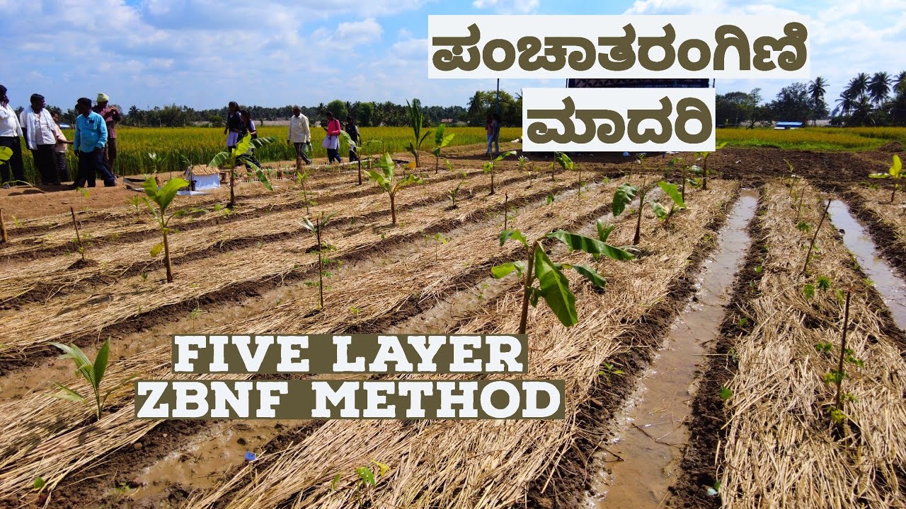 ಪಂಚತರಂಗಿಣಿ  ಮಾದರಿ | five layer model of zbnf