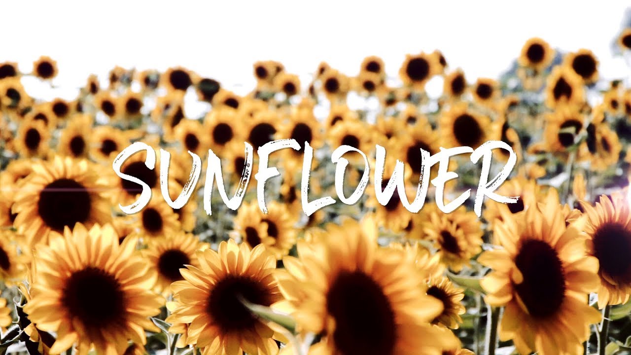 Post Malone, Swae Lee - Sunflower (Seth G. & Daniel D. Violin Remix)