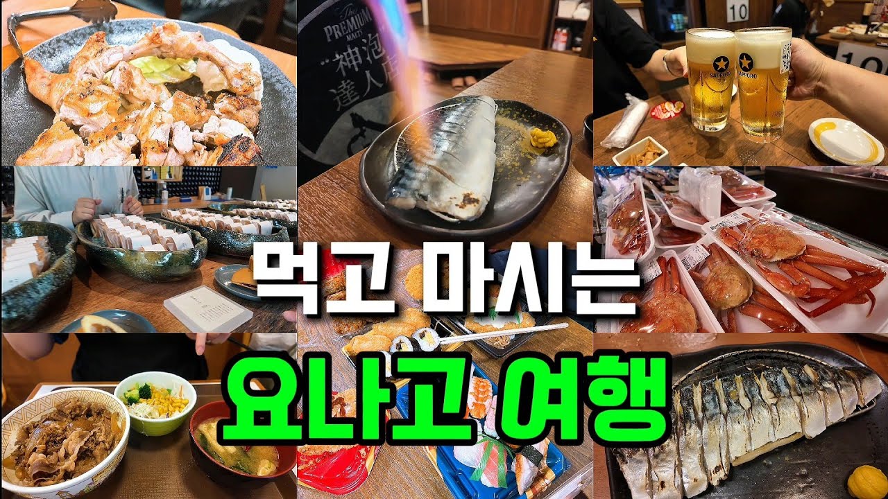 일본 소도시 요나고(YONAGO) 처음으로 한곳을 세번 방문한 이자카야,삿포로생맥주가 2000원! 