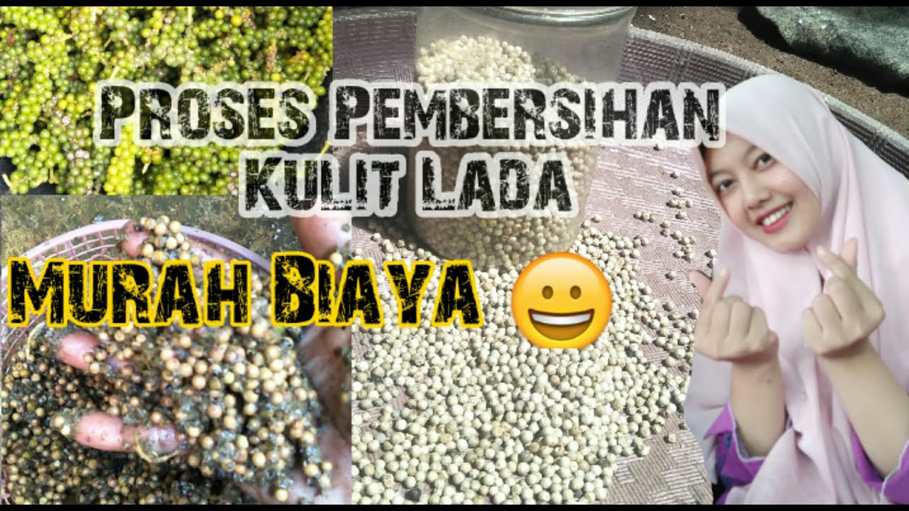 Cara pembersihan kulit lada murah biaya