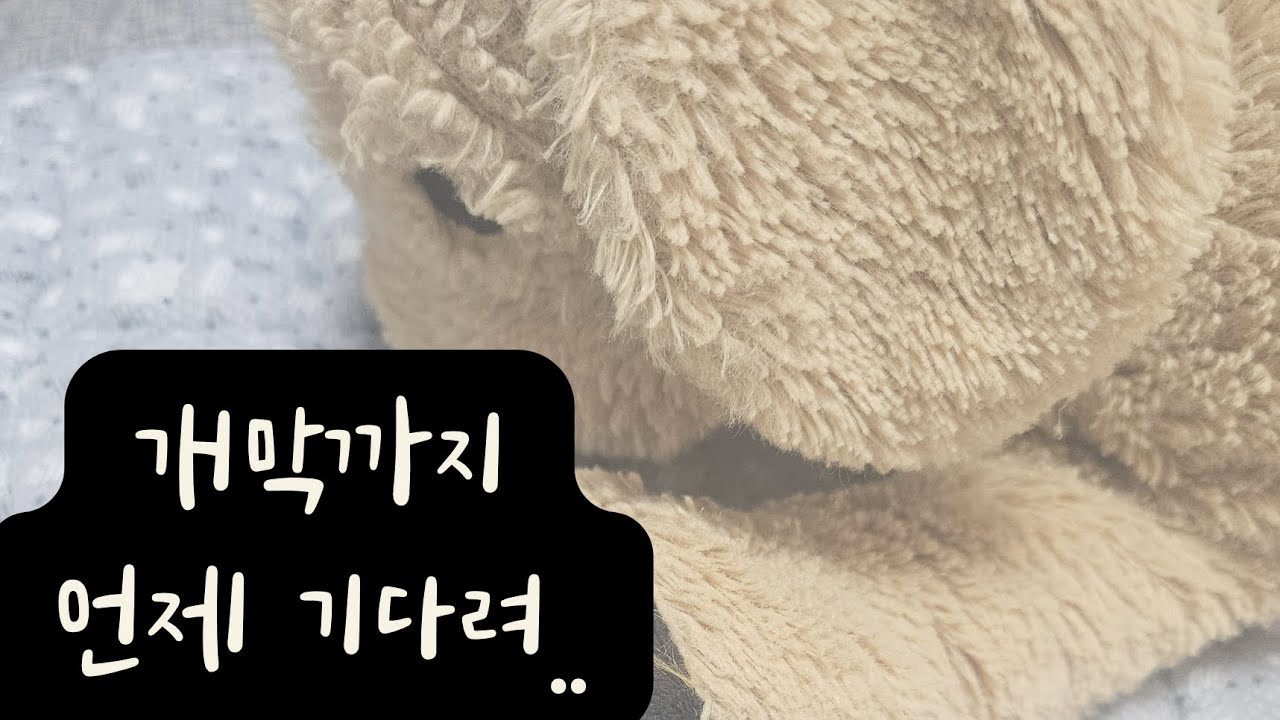 2026시즌 롯데 자이언츠 선수 응원가 모음 (등장곡, 투수 포함)