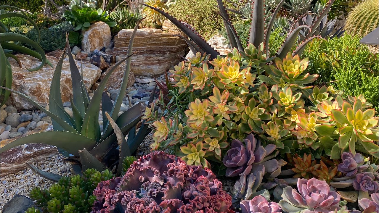 Scheduled Maintenance on a One Year Old Baby Garden in Carlsbad.
