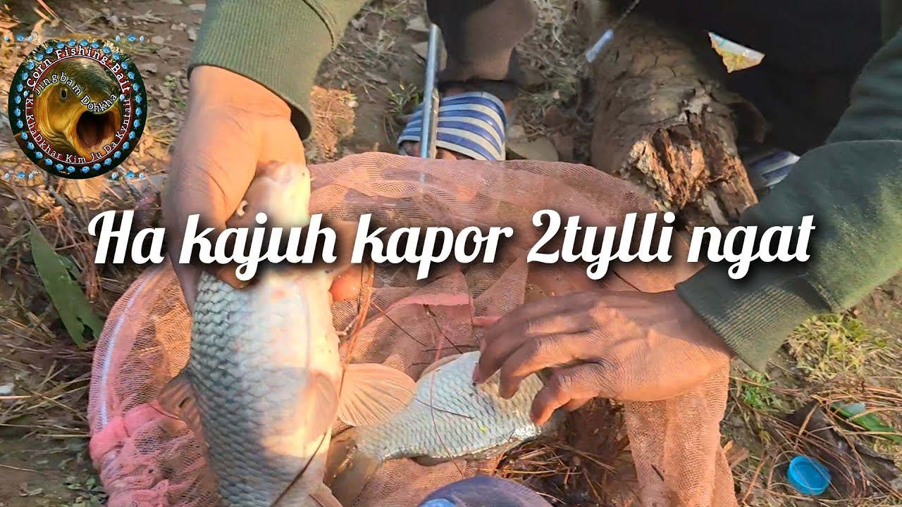 Ka pung bym shah bsa shiteng sngi poi ia kynjut peit jing ibang 🐠🐟🐠🐟