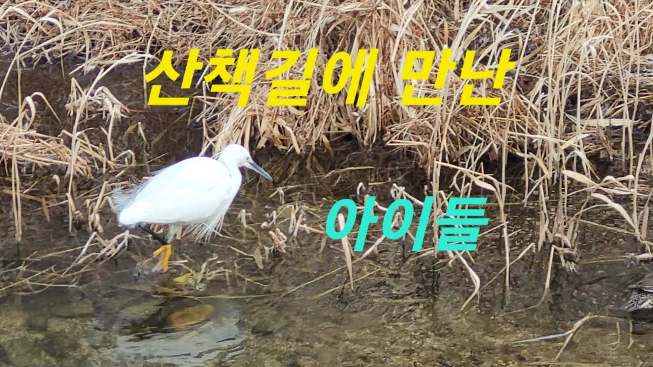 산책길에 만난 친구들 