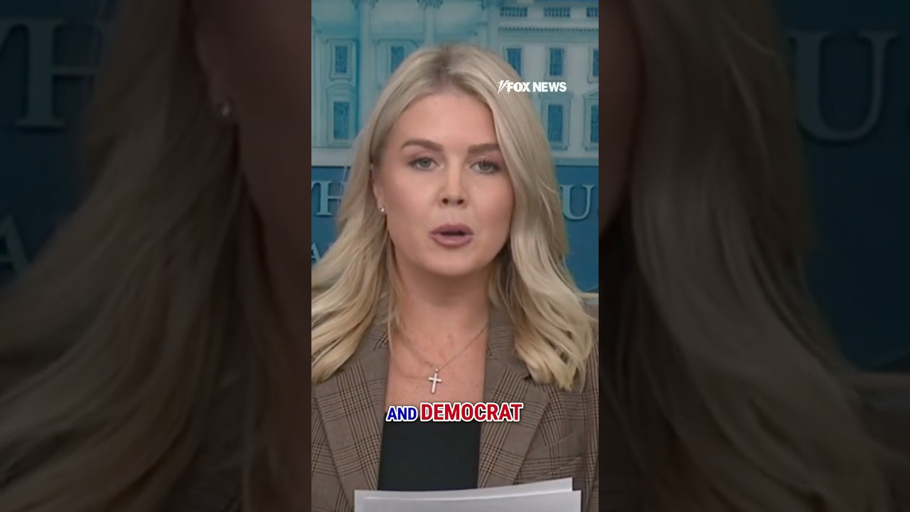 Leavitt: This proves how 'RADICAL' the Dem Party has become #shorts #washington #charliekirk #fox