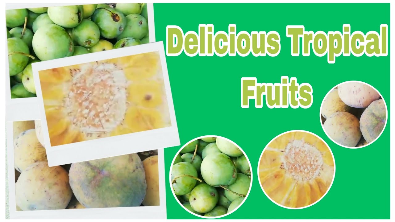 Bibili muna ng Prutas!Fresh Tropical Fruits 