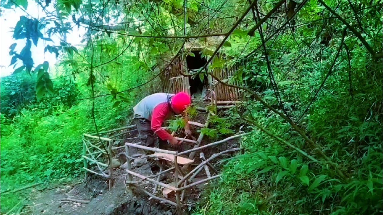 Berteduh di shelter lama saya disaat hujan deras dan memasak jamur hutan#bushcraft#survival#asmr