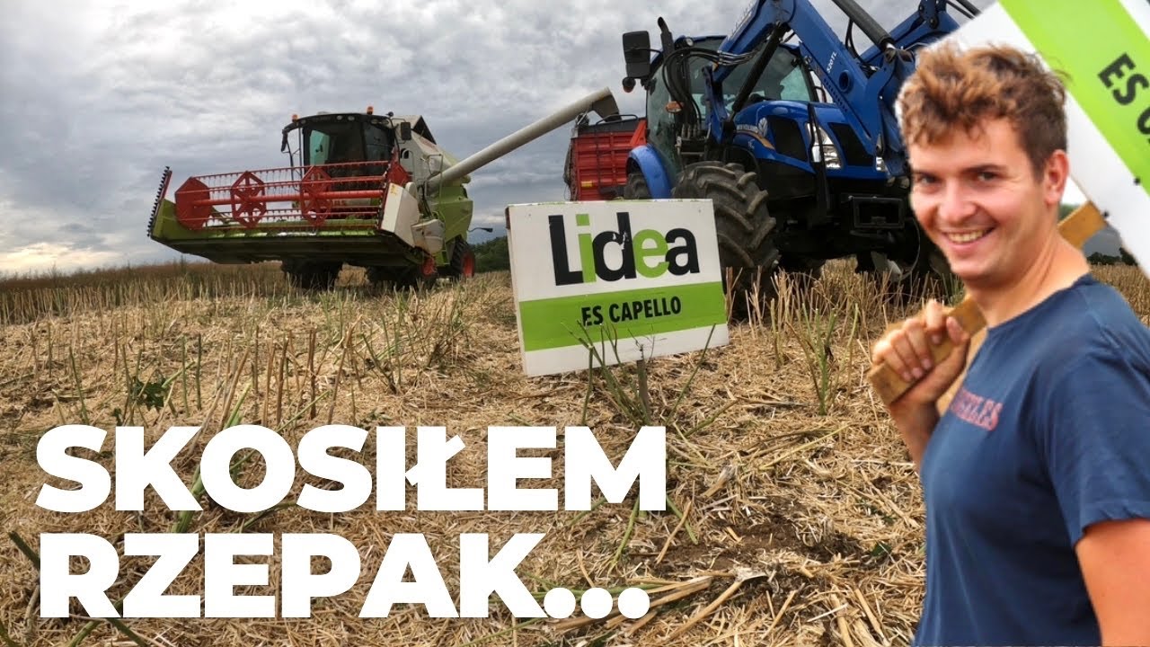 Kosimy rzepak! Es Capello pod kosę!