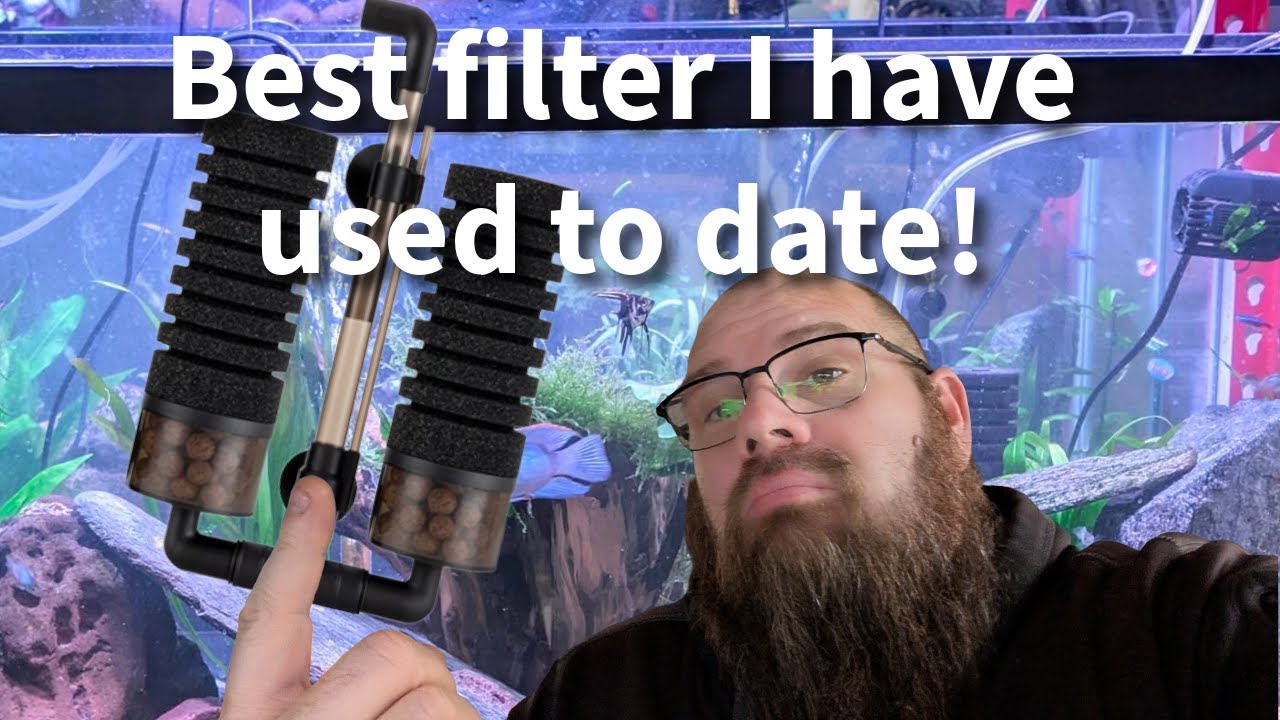 Hygger HG256 Sponge Filter Review &mdash; REAL Before & After + How It Actually Works!