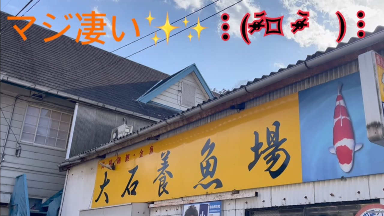 広島県福山市【大石養魚場②】