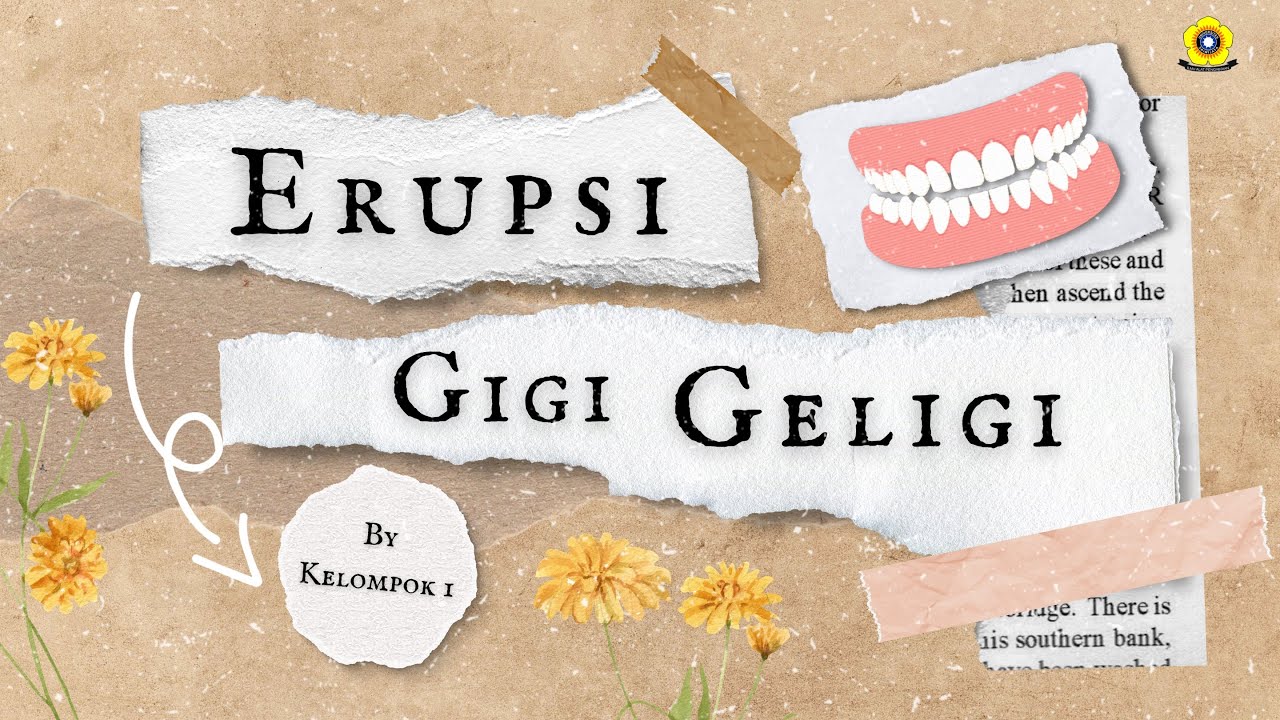 Erupsi Gigi Geligi || Video animasi edukasi - Universitas Sriwijaya