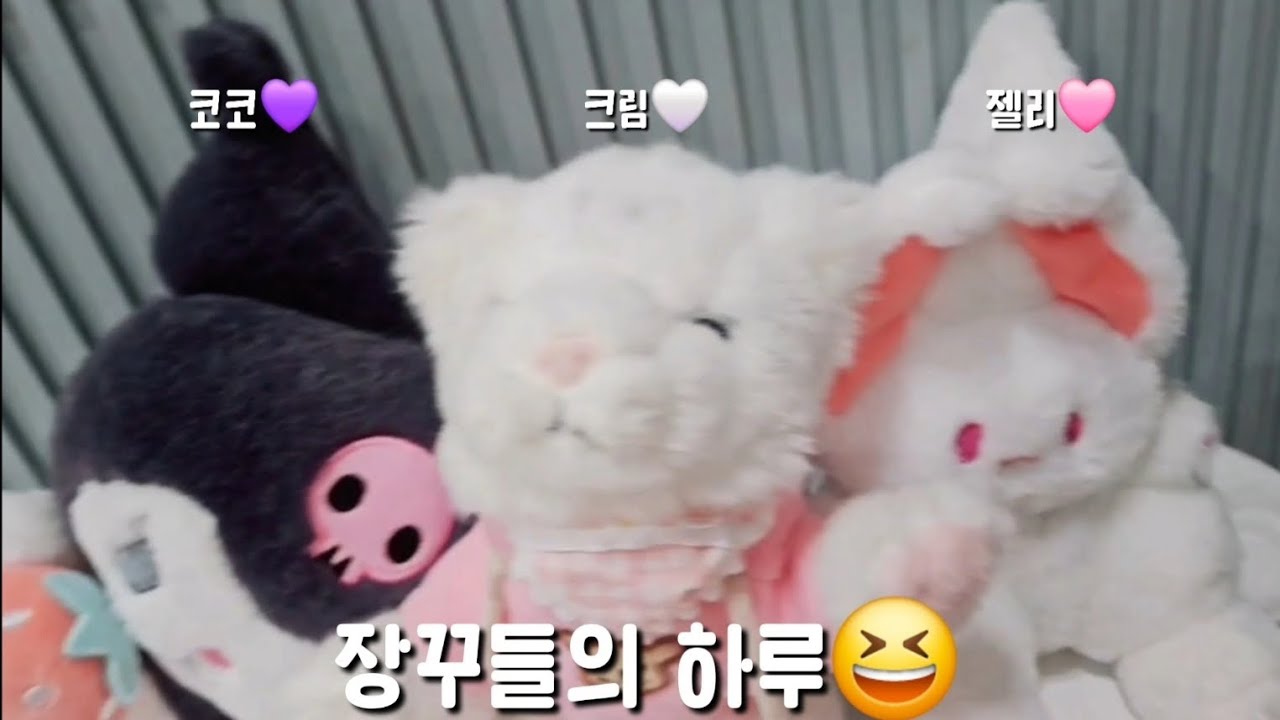 크림이의 하루🤍