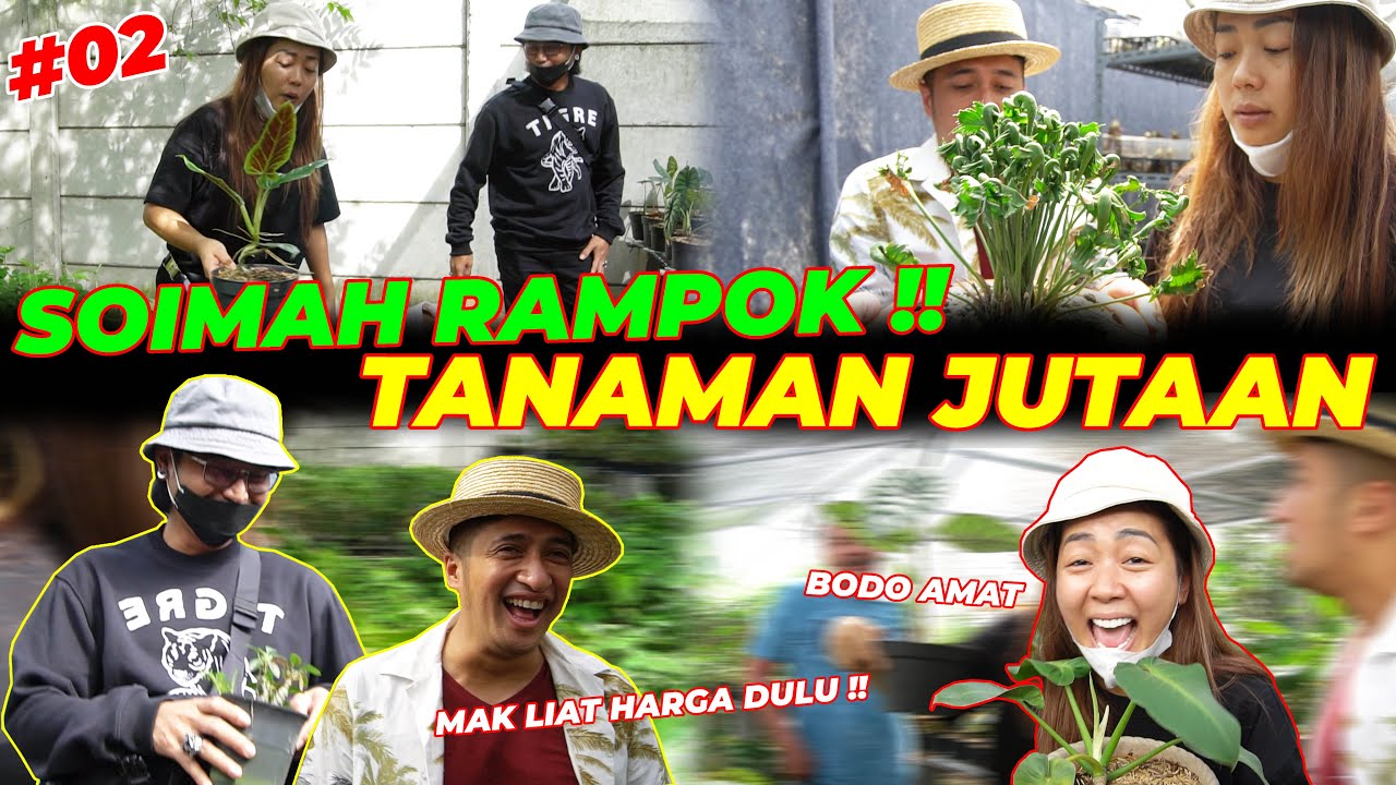 #EPS02 TANAMAN SOIMAH | NYESEL BAWA SOIMAH KESINI, LANGSUNG KALAP