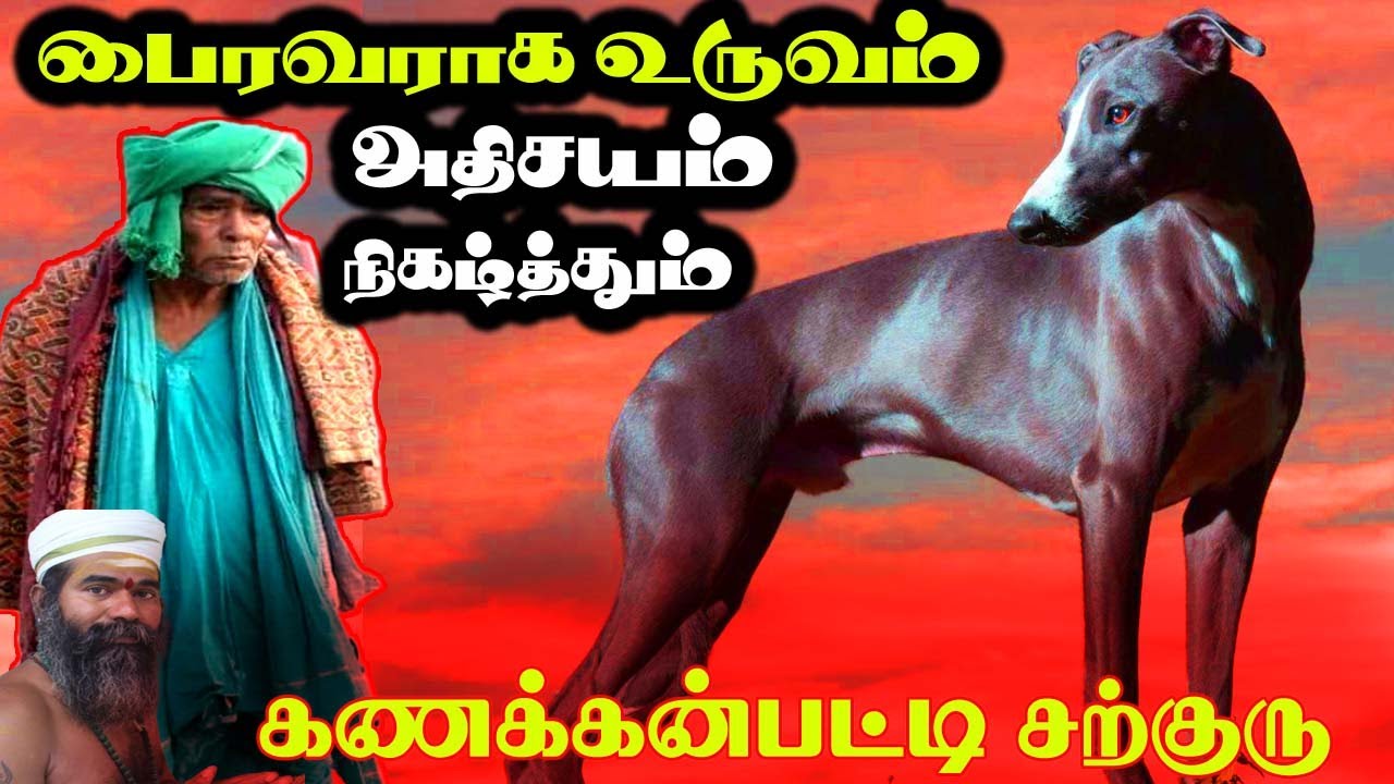 கணக்கன்பட்டி சற்குரு பைரவ உருவத்தில் அதிசயம் | kanakkanpatti siddhar | kanakkanpatti sarguru