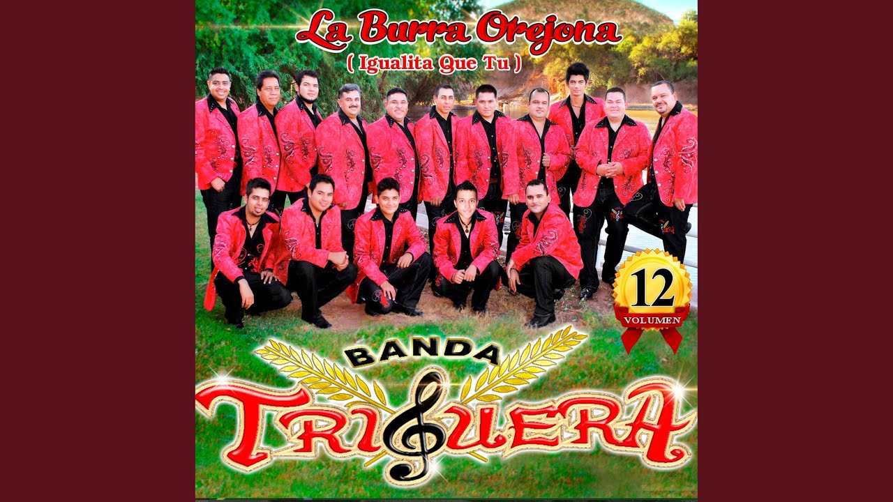 La Burra Orejona (Igualita Que Tu)