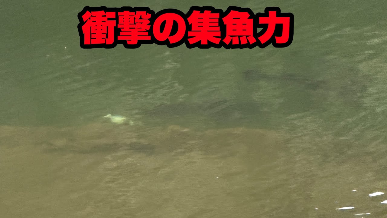 あのワームの新素材のやつ投げたらデカバスがワラワラ湧いて来るんです。