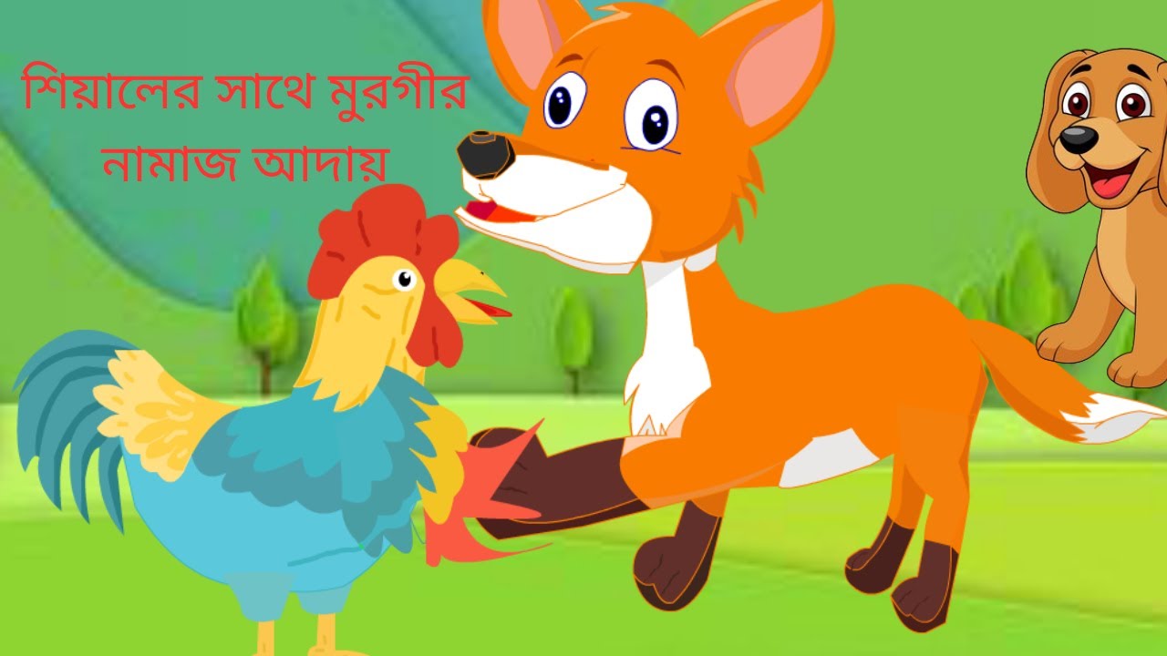 শিয়ালের সাথে মুরগির নামাজ আদায় করার অদ্ভুত অভিজ্ঞতা /siyal morgi .fox hen