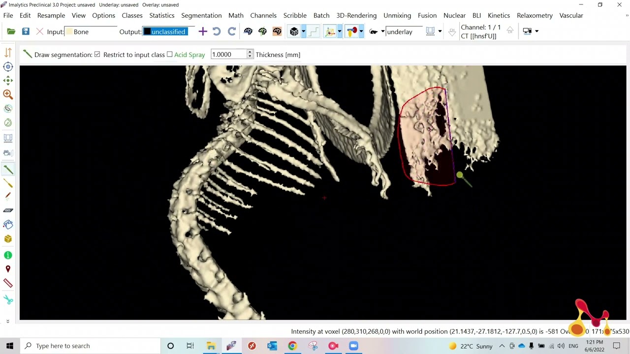 4 Mouse PET-CT - Imalytics Preclinical Demo