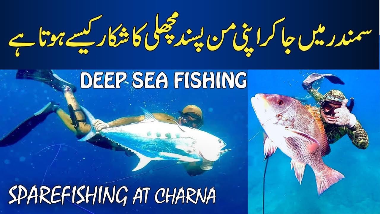CHARNA ISLAND PAR GUN SE MACHLI KA SHIKAR | FISHING IN KARACHI | UNDERWATER FISHING | SpearFishing