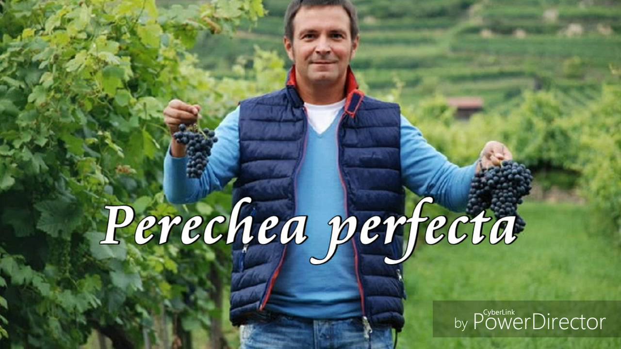 Daniel Buzdugan - Concurs - Perechea perfectă