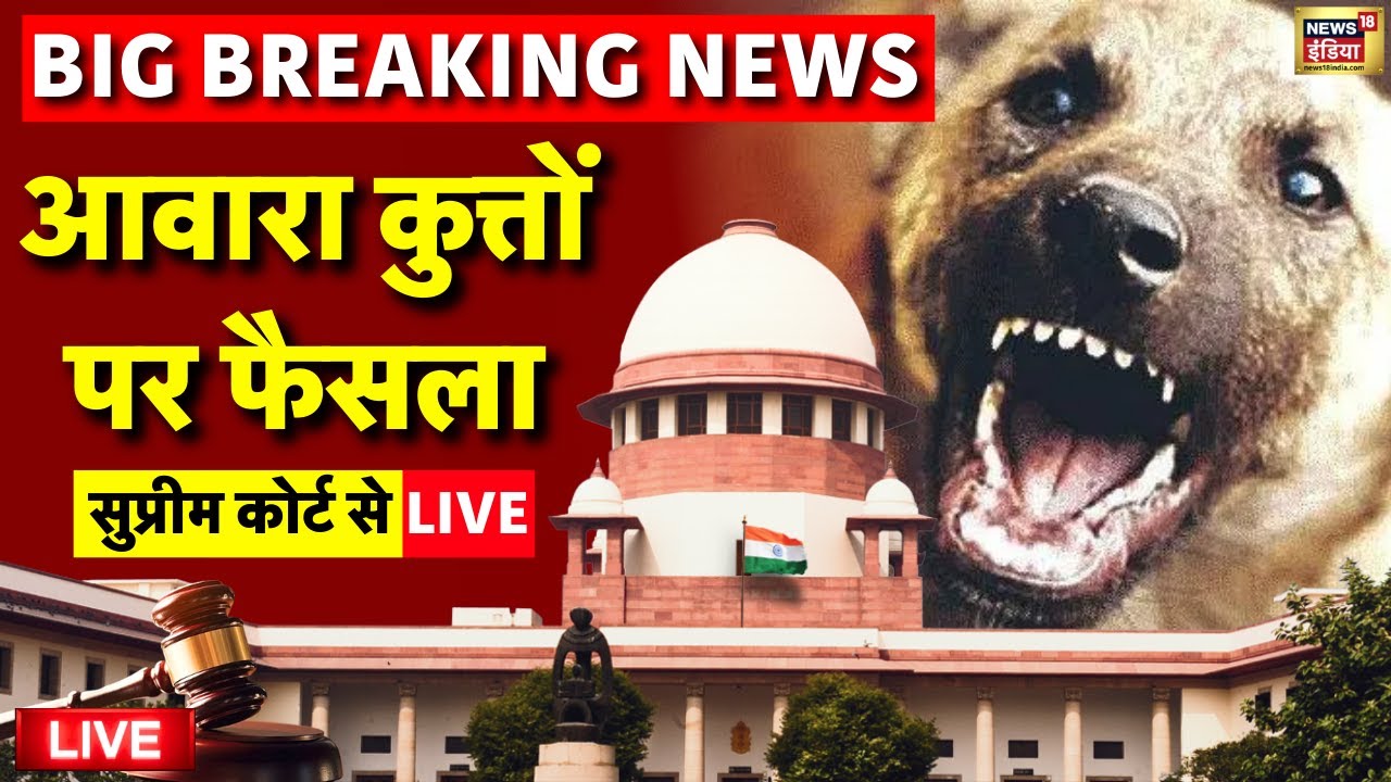 Supreme Court Final Order on Delhi Stray Dogs | SC verdict on stray dogs LIVE | Dogs | Awara Kutte
