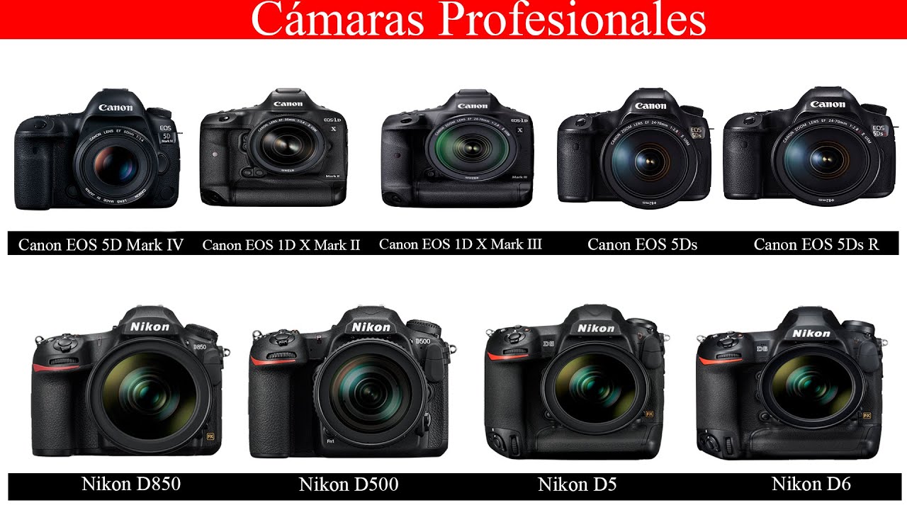 Tipos de Cámaras Réflex o DSLR