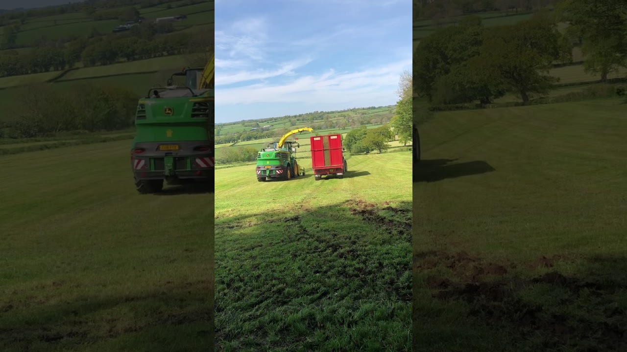 Arwel blaenblodau agri