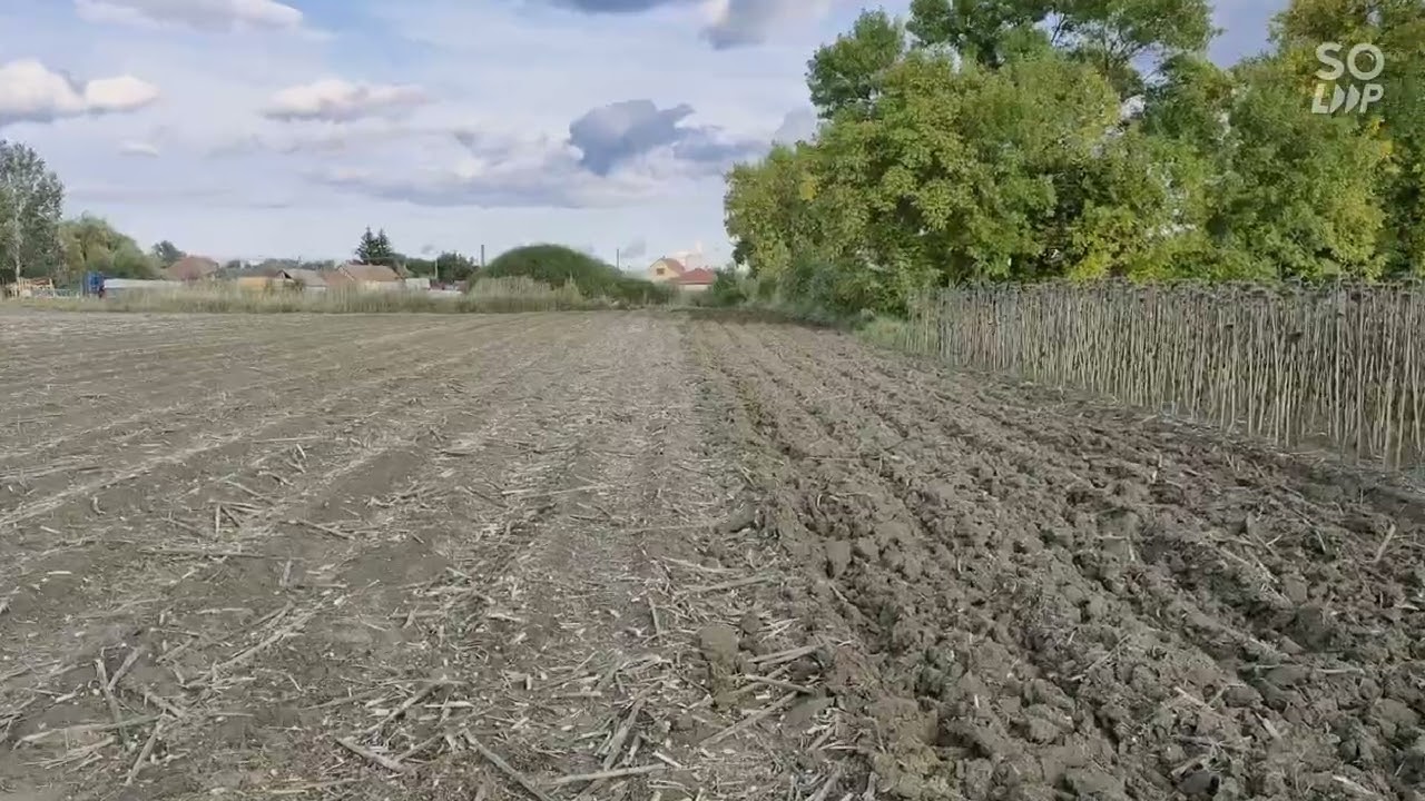 Kis szösszenet.