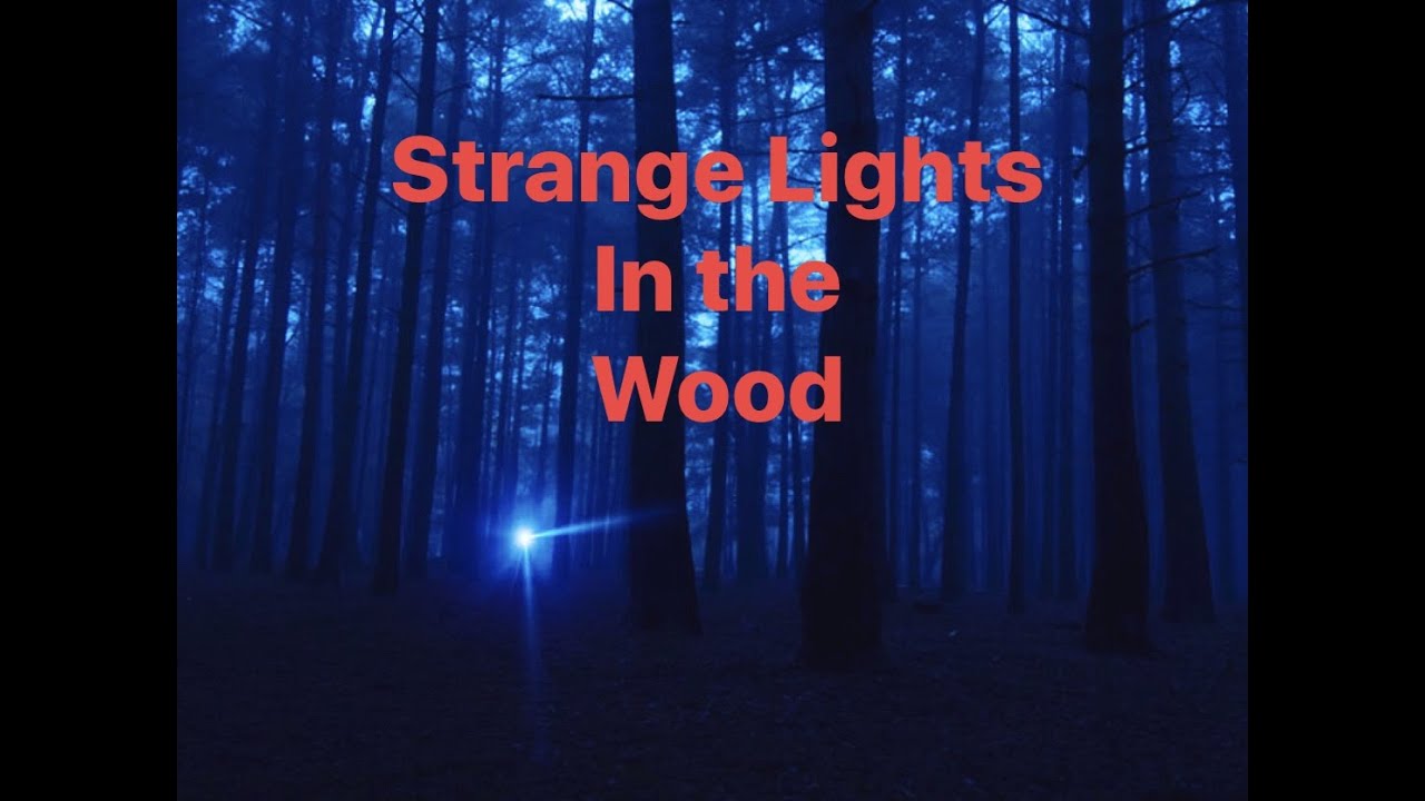 Strange Lights in the Woods