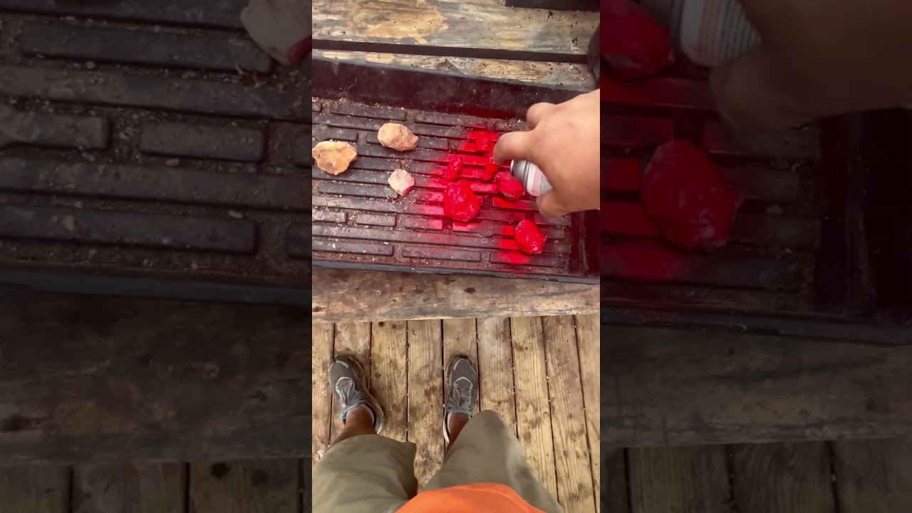 Stop birds from stealing your strawberries for good! #homesteading #strawberries  #freshfruits