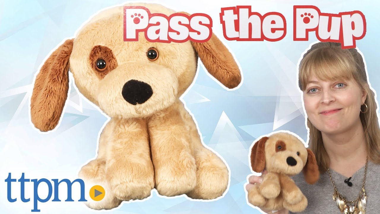 Pass the Pup from PlayMonster