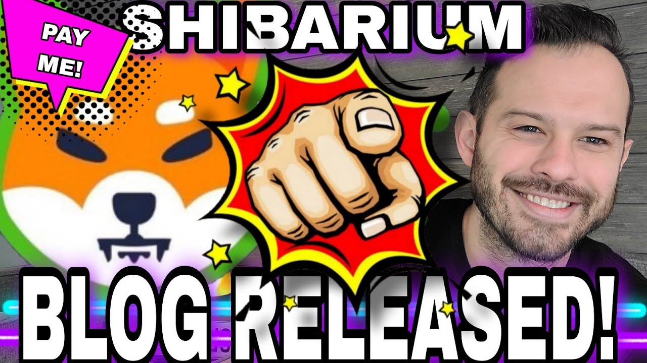 Shiba Inu Coin | Shytoshi Releases The Shibarium Intake... Time To Pay Up!